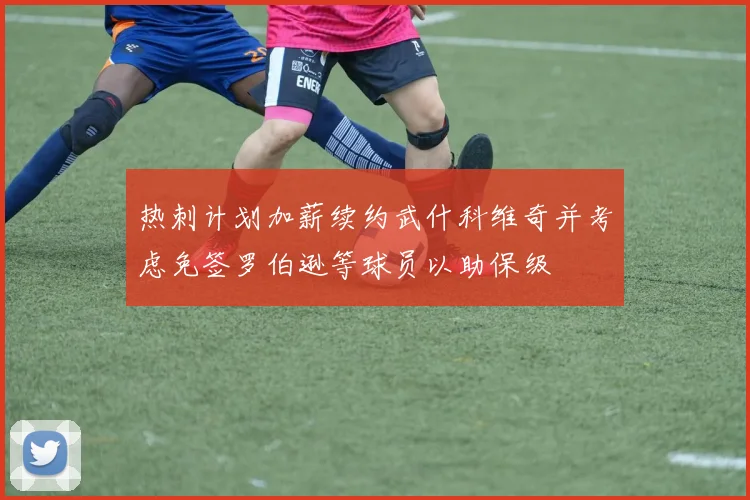 热刺计划加薪续约武什科维奇并考虑免签罗伯逊等球员以助保级
